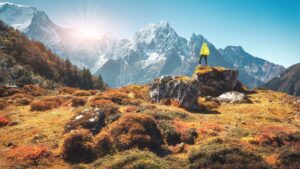Concern among scientists: the Himalayas are filling with trees and it is not good news