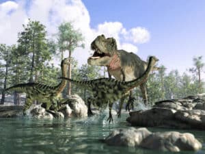 Fossil feathers found in dinosaur poop could explain how birds survived mass extinction