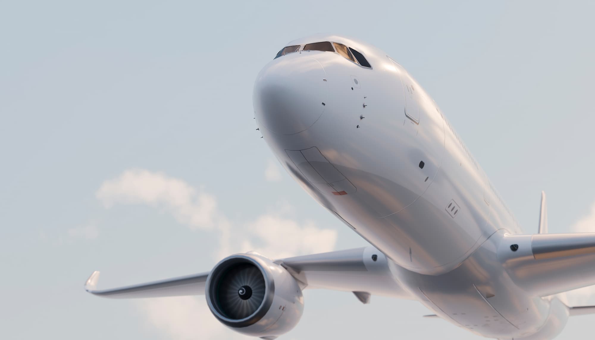 How much does an airline earn from a flight?
