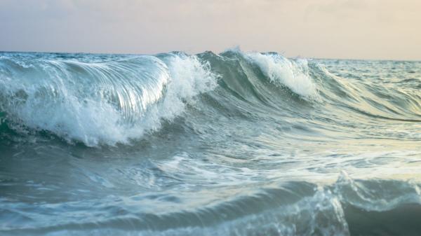 Scientists detect a "cold spot": this is the place between Spain and Greenland that continues to cool despite global warming - The great ocean current that could be behind this phenomenon