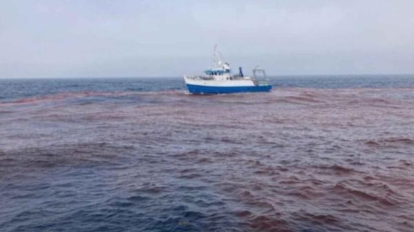 Scientists pour 62,000 liters of caustic soda into the ocean and dye it pink: this is how they want to capture more CO₂ - How they raised the alkalinity of the ocean with 62,000 liters of caustic soda