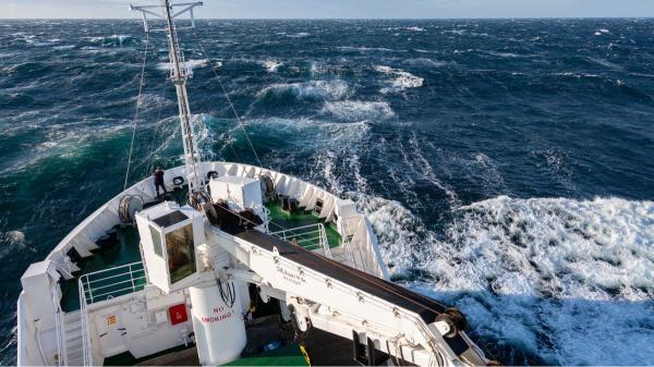 The High Seas Treaty: the agreement that can change the protection of the oceans - What is the High Seas Treaty and why it is considered historic