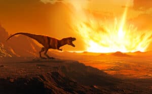 The Tyrannosaurus rex was warm-blooded: its “thermometer” in its teeth reveals this
