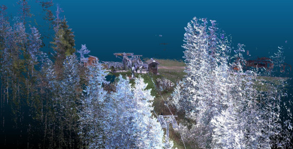 GEMELLO DIGITALE bosco