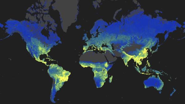 The discovery that surprises scientists: a hidden network beneath the Earth as extensive as 10% of the Milky Way - An underground network of extraordinary dimensions