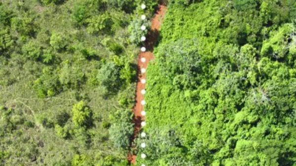 In 1998 they covered degraded land with 12,000 tons of orange peels: 16 years later it was a forest - 16 years later, there was 176% more biomass