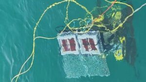 Underwater solar panels: the new frontier of photovoltaic energy in the seabed