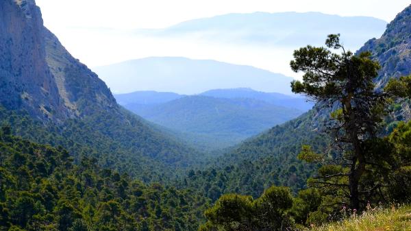 In 1889 a Spanish engineer reforested 5,000 hectares with cannon fire: more than a century later, Sierra Espuña is one of the great green lungs of Murcia - Seeds shot with blunderbusses to reach the most inaccessible areas
