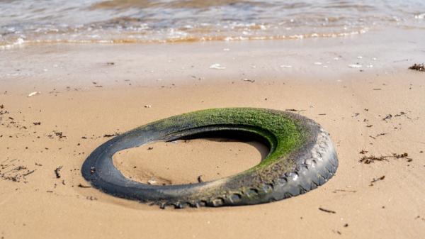 In 1972, Florida dumped up to two million tires into the sea to create a reef and it went wrong: 50 years later they are still being removed - Removing tires from the sea became a decades-long operation