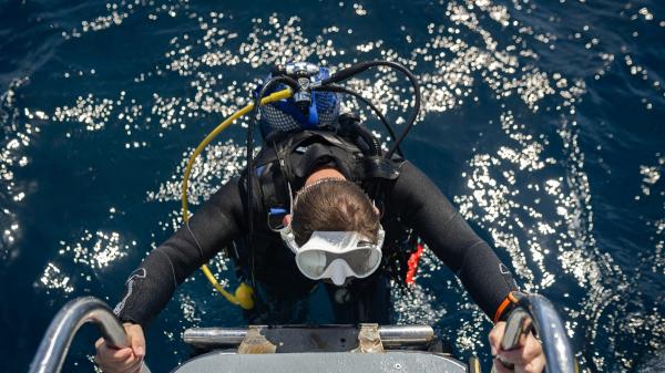 Scientists warn of the expansion of an invasive tropical oyster along the Spanish coasts: the warming of the Mediterranean favors its advance - A network of scientists has been following the progress of this species for years