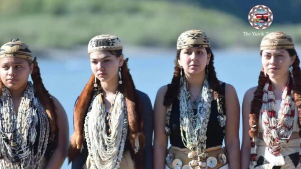 After tearing down four hydroelectric dams, an indigenous tribe plants millions of seeds to recover a historic river in the United States - Millions of native seeds to recover land left under water