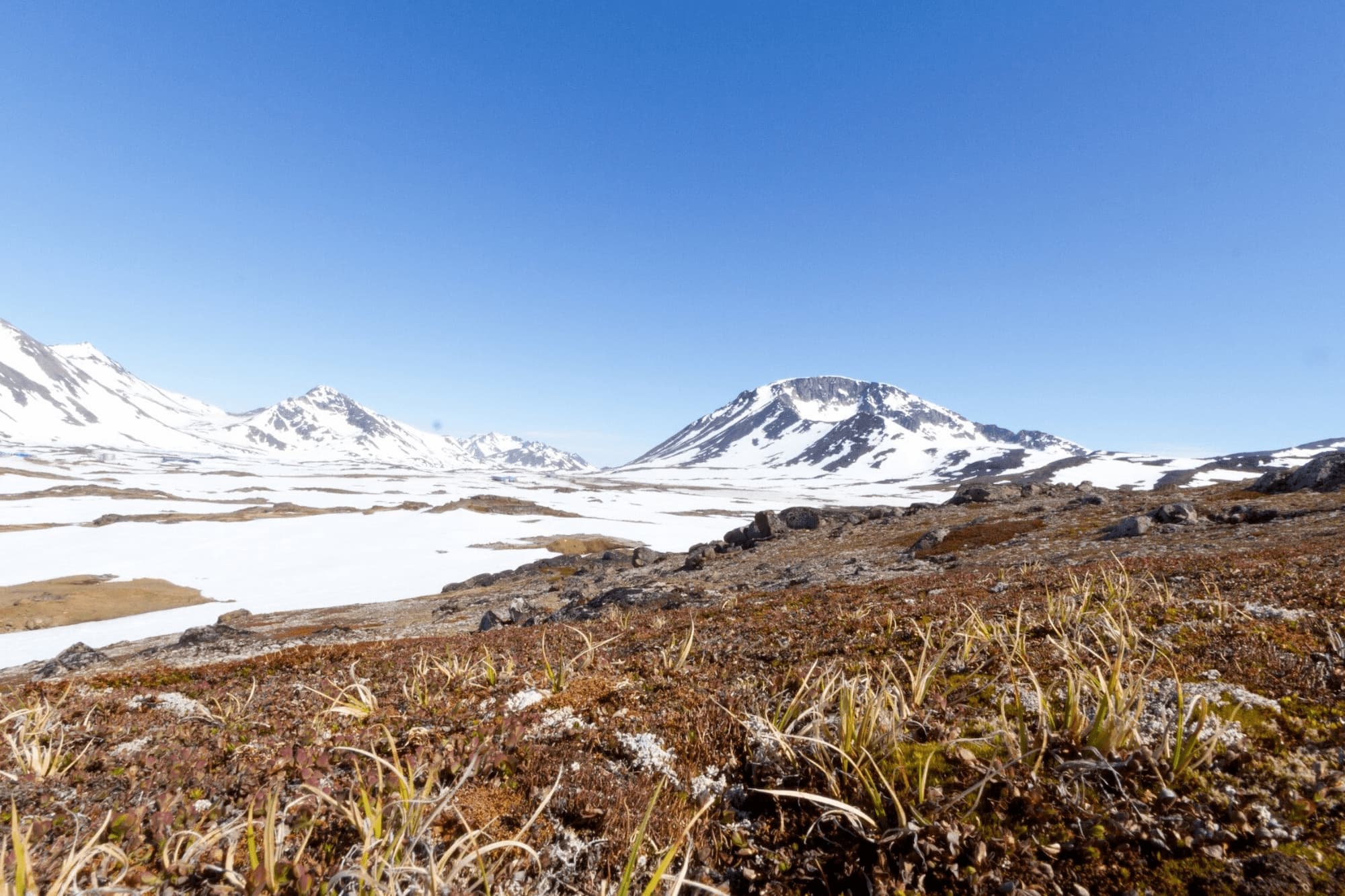 Was Greenland once ice-free? From the "forgotten" champions of the Cold War the discovery of what it was like 400,000 years ago