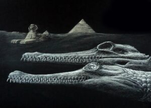 A new species of crocodile discovered in Egypt (but we’ve had the fossil for a hundred years)