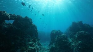 Climate change is not only warming the oceans: it is weakening a connection between the Pacific and the Indian Ocean that has worked for centuries