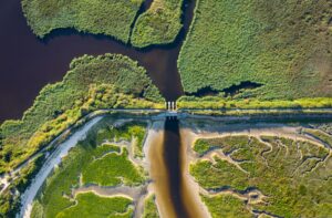 Cop17 on biodiversity is underway: here are the (most realistic) objectives