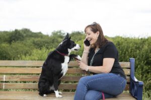 How do dogs understand us? Study reveals they process words like us