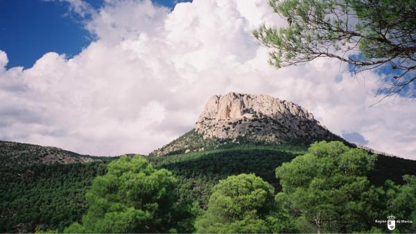 In 1889, a Spanish engineer reforested 5,000 hectares with cannon fire: more than a century later, Sierra Espuña is one of the great green lungs of Murcia - Sierra Espuña was on the verge of becoming a desert landscape