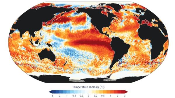 The oceans reach their highest temperature on record and scientists warn: “It could be the highest in 125,000 years” - Are we facing the highest sea temperature in the last 125,000 years?