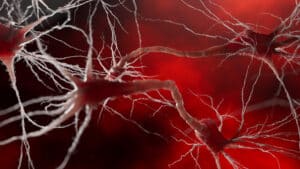 Stress can strengthen your memory. How does he do it?