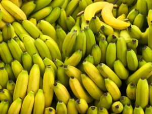 The banana that never turns black is about to arrive in supermarkets (but not in Italy)