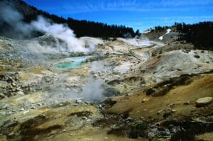 The fire amoeba discovered: it lives and reproduces at over 63 °C